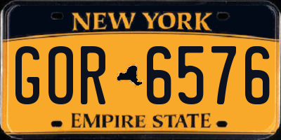 NY license plate GOR6576