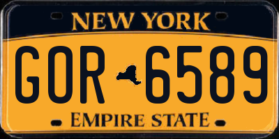 NY license plate GOR6589