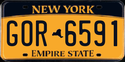 NY license plate GOR6591