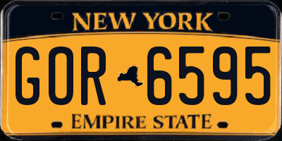 NY license plate GOR6595