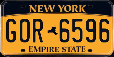 NY license plate GOR6596