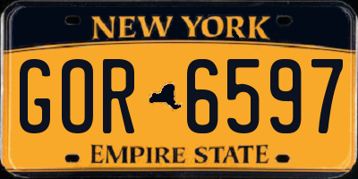 NY license plate GOR6597