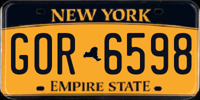 NY license plate GOR6598