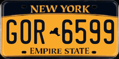 NY license plate GOR6599
