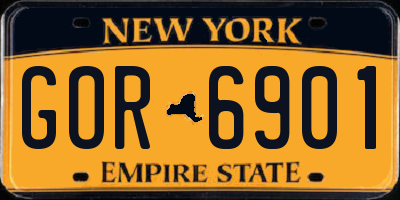 NY license plate GOR6901
