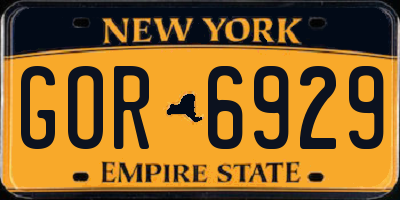 NY license plate GOR6929