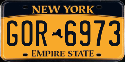 NY license plate GOR6973
