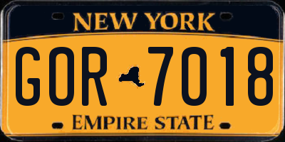 NY license plate GOR7018