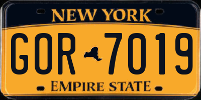 NY license plate GOR7019