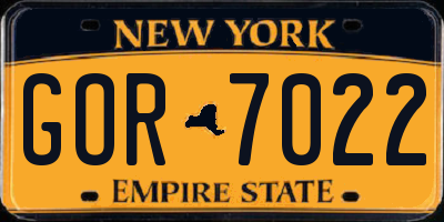 NY license plate GOR7022
