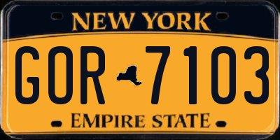 NY license plate GOR7103
