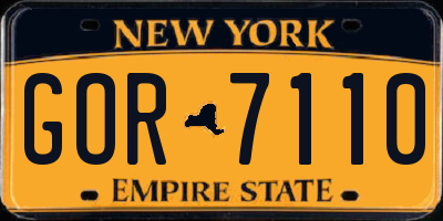 NY license plate GOR7110