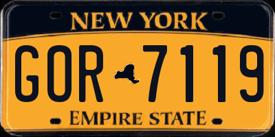 NY license plate GOR7119
