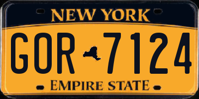 NY license plate GOR7124