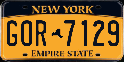 NY license plate GOR7129