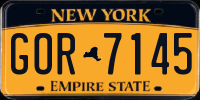 NY license plate GOR7145