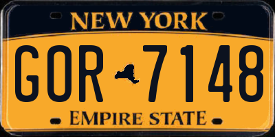 NY license plate GOR7148