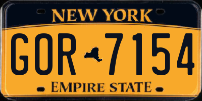 NY license plate GOR7154