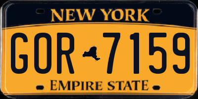 NY license plate GOR7159