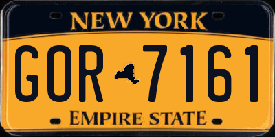 NY license plate GOR7161