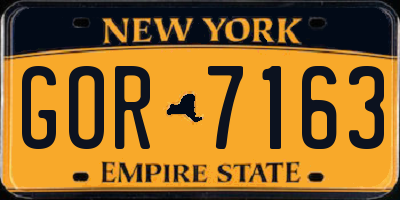 NY license plate GOR7163