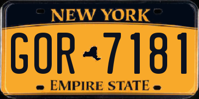 NY license plate GOR7181