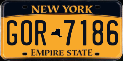 NY license plate GOR7186
