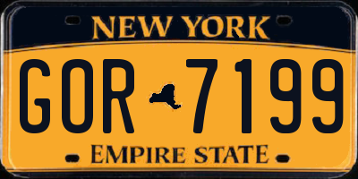 NY license plate GOR7199