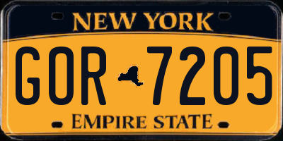 NY license plate GOR7205