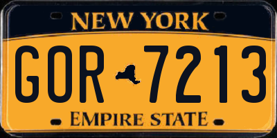 NY license plate GOR7213