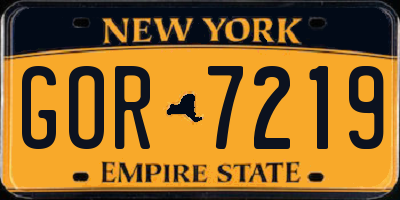 NY license plate GOR7219