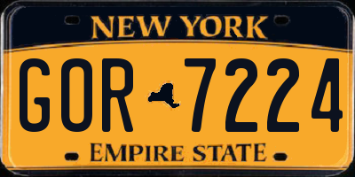 NY license plate GOR7224