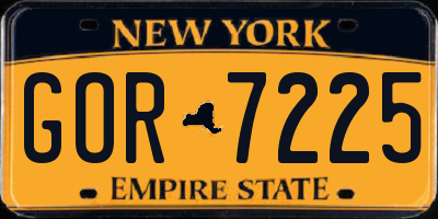 NY license plate GOR7225