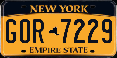 NY license plate GOR7229