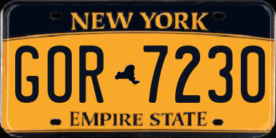 NY license plate GOR7230