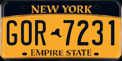 NY license plate GOR7231