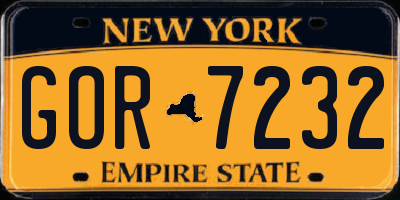 NY license plate GOR7232
