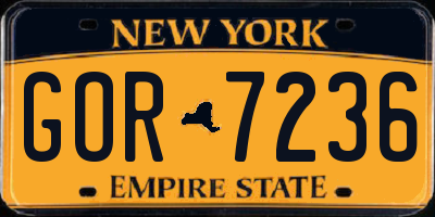 NY license plate GOR7236