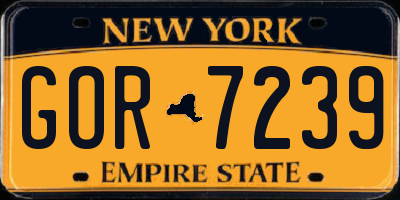 NY license plate GOR7239