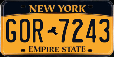 NY license plate GOR7243