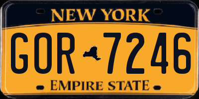 NY license plate GOR7246