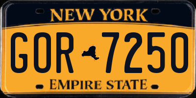 NY license plate GOR7250