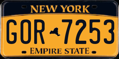 NY license plate GOR7253