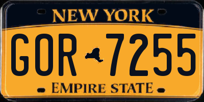 NY license plate GOR7255