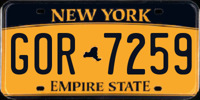 NY license plate GOR7259