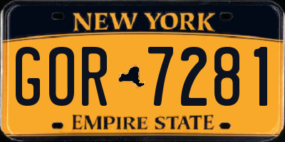NY license plate GOR7281