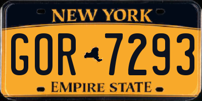 NY license plate GOR7293