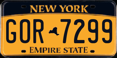 NY license plate GOR7299