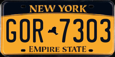 NY license plate GOR7303