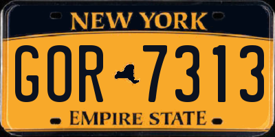 NY license plate GOR7313
